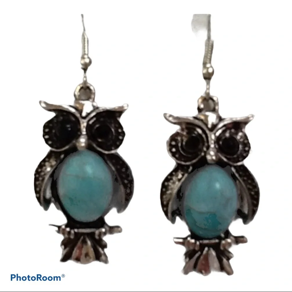 Silver Turquoise Owl Fishhook Earrings NWT